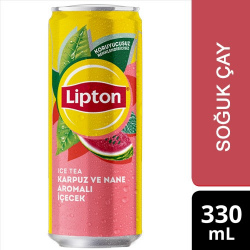 LİPTON İCE TEA KARPU VE NANE AROMALI 330 ML